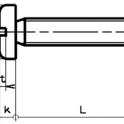 Vite a testa piatta M5×100mm Z DIN 85A, (Pan-Head) 