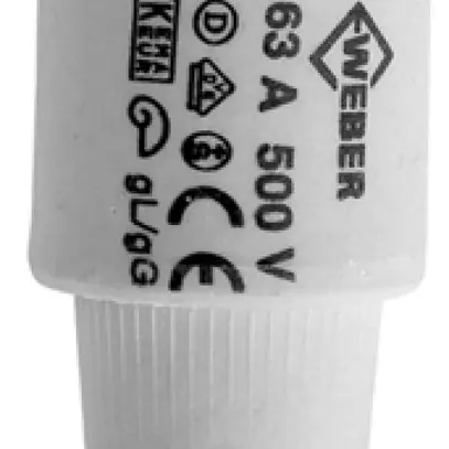 Fusibile D DIII 35A 500V nero gG 