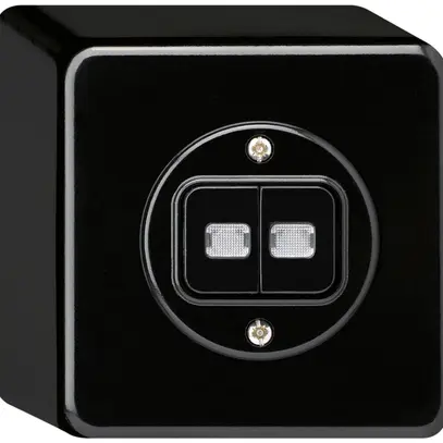 Pulsante luminoso AP basico 2×AR/1L nero 
