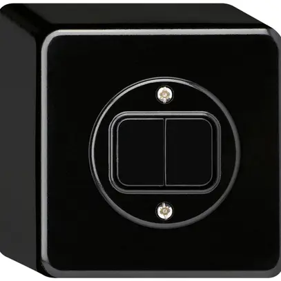 Pulsante AP basico 2×AR/1L nero 