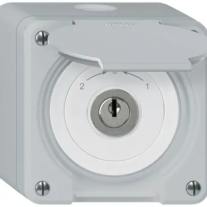 Contact pivotant à clé AP robusto IP55 gris avec clapet inverseur 