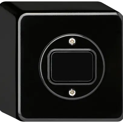 Interrupteur AP basico 6/1L noir 