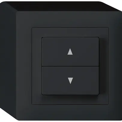 AP-Storentaster kallysto schwarz mit 2 Funktionstasten Steckklemmen 