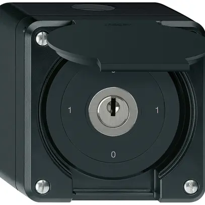 Interruttore a chiave AP robusto IP55 con copertura S0/2P nero 