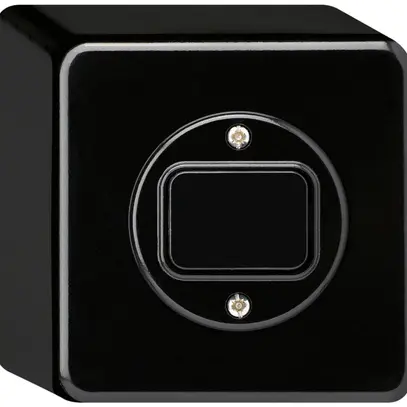 Interruttore AP basico 3/1L nero 