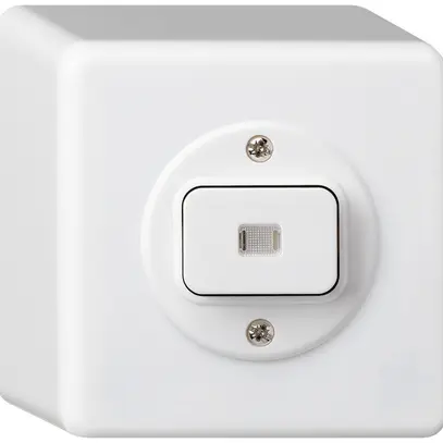 Pulsante luminoso AP basico AR/1L bianco 