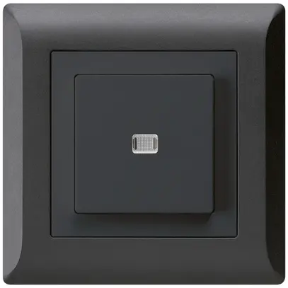 Contact à poussoir lumineux ENC kallysto.line AR/2P noir 