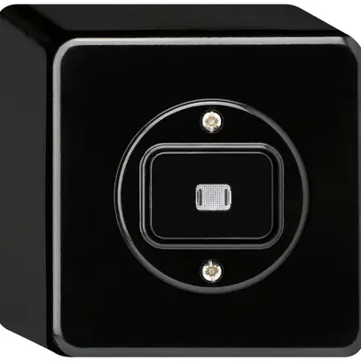 AP-Leuchtdrucktaster basico L-AR/1L schwarz 