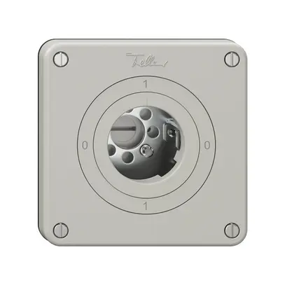 Interruttore rotativo NEVO, 0/1L, senza cilindro, KS, 0-1-0-1, grigio chiaro 