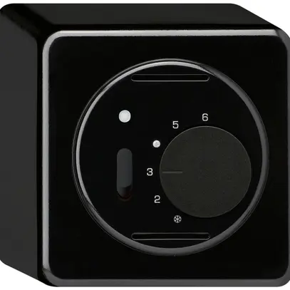 Thermostat d'ambiance AP BASICO noir avec interrupteur 