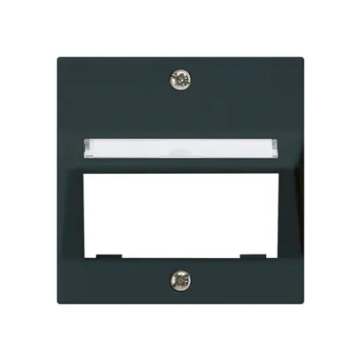 Plaque frontale kallysto pour module multimédia sortie oblique duroplast noir 