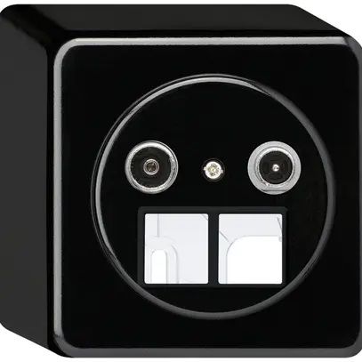 Presa multimedia AP basico TV-R 14dB 2GHz nero 