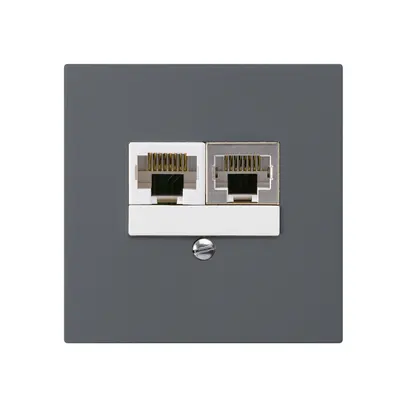 Scatola INC kallysto 2×RJ45s+u separato antracite 