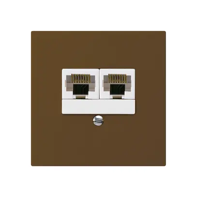 UP-Dose kallysto 2×RJ45u getrennt braun 