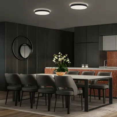 Plafonnier LED LEDVANCE ORBIS LONDON 16W 1000lm 3000K Ø280mm noir 