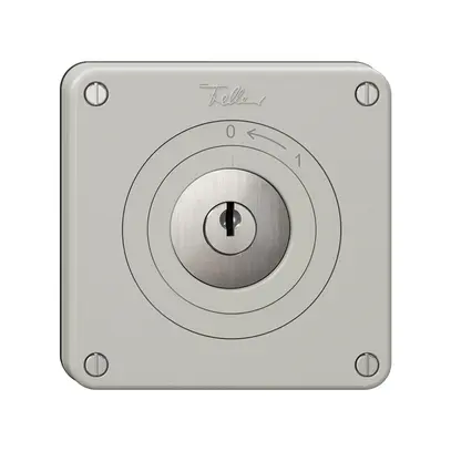 Contatto rotativo NEVO, con serratura&2 chiavi, KS, 0 <- 1, grigio chiaro 