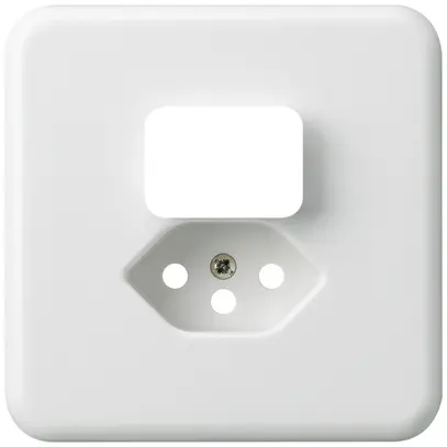 Plaque de recouvrement grd.I basico blanc pour petite combinaison type 13 