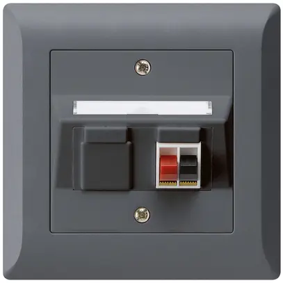 Prise ENC audio kallysto.line 1×anthracite borne à étrier pour 1 haut-parleur 