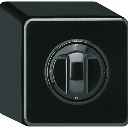 Interruttore rotativo AP basico 2/1L 0-A-0-M nero con manopola 