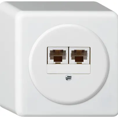 Scatola di raccordo AP basico 2×RJ45u bianco parallelo 