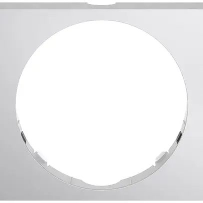 Dekorrahmen ABB Busch-Wächter PRO Aluminium 