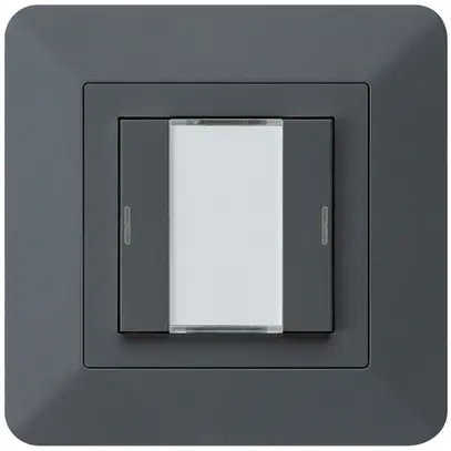 Poussoir ENC kallysto.trend KNX 2×LED RGB s/e-link anthracite 