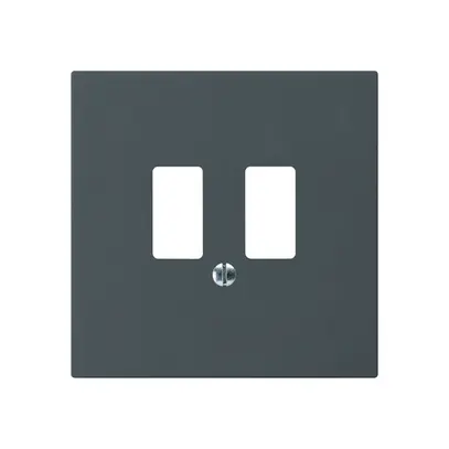 Placca frontale kallysto per presa USB antracite 