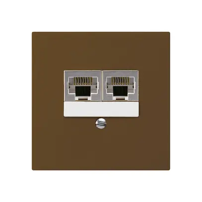 Scatola INC kallysto 2×RJ45s marrone CUC separato 