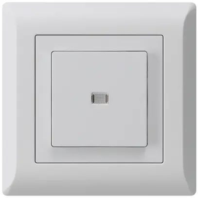 UP-Leuchttaster kallysto.line ARK 2L hellgrau 