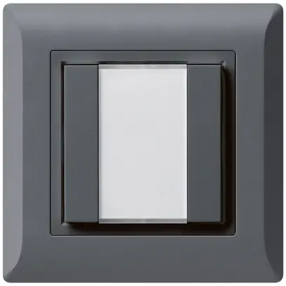 Pulsante universale INC 2×kallysto.line senza LED antracite 