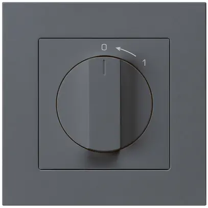 UP-SchwenkTaster 0<-1/1L anthrazit kallysto.pro mit Drehgriff 