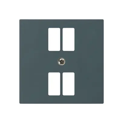 Placca frontale kallysto per presa 4×USB antracite 