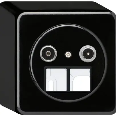 Prise multimédia AP basico TV-R 4dB 2GHz noir 