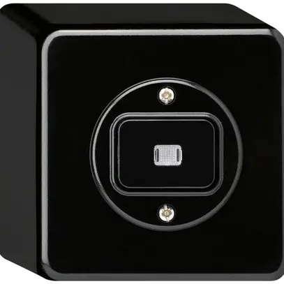 Interruttore AP basico luminoso 6/1L nero 