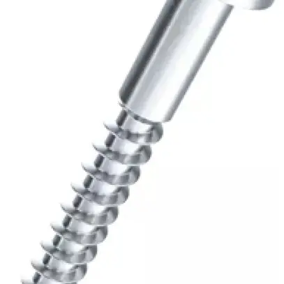 Vite per legno testa semitonda 3×10mm zincata 