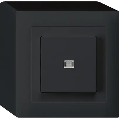 AP-Leuchtdruckschalter kallysto 3/1L schwarz 