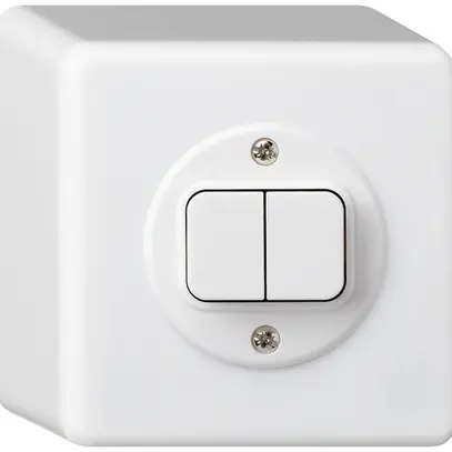 Interruttore AP basico 3+3 bianco 