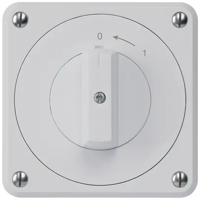 Contatto rotativo INC robusto IP55 grigio 2P 