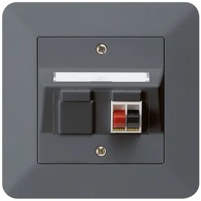 UP-Audiodose kallysto.trend 1×anthrazit Klemmanschluss für 1 Lautsprecher 