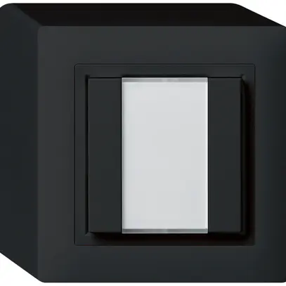 Pulsante universale AP 2×KAL con LED nero 