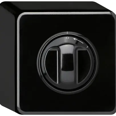 AP-Schwenktaster 0<-1/1L schwarz basico mit Drehgriff 