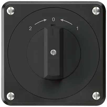 UP-Schwenktaster robusto IP55 schwarz Wechsler 