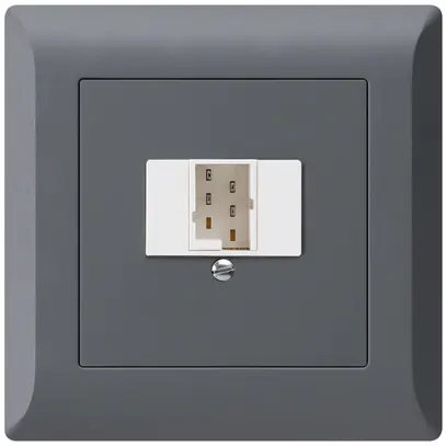 Prise d'enfichage et de raccordement kallysto.line 1×TT83 anthracite 