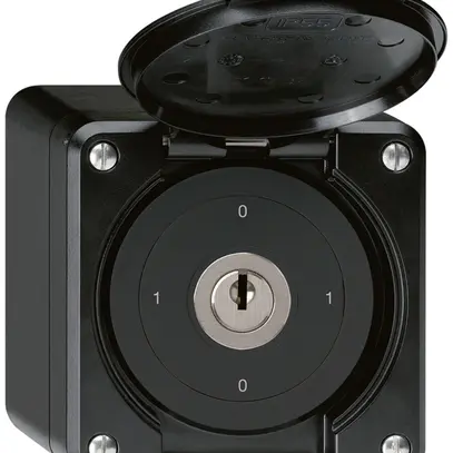 Interruttore a chiave AP robusto IP55 con copertura S0/1P nero 