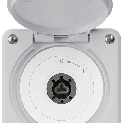 Contatto rotativo a chiave INC robusto IP55 grigio c.coperchio senza cilindro 2P 