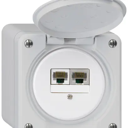 Scatola di raccordo AP robusto IP55 grigio 1×RJ45/s 1×RJ45/u separate 