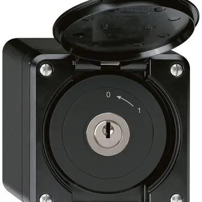 Contatto rotativo chiave AP robusto IP55 nero con coperchio 1P 