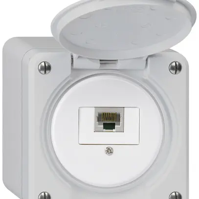 Scatola di raccordo AP robusto IP55 grigio 1×RJ45/s 