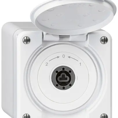 Contact pivotant à clé AP robusto IP55 blanc avec clapet sans cylindre inverseur 