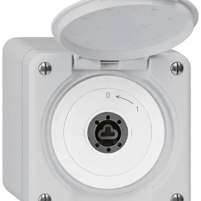 Contatto rotativo chiave AP robusto IP55 grigio con coperchio senza cilindro 1P 